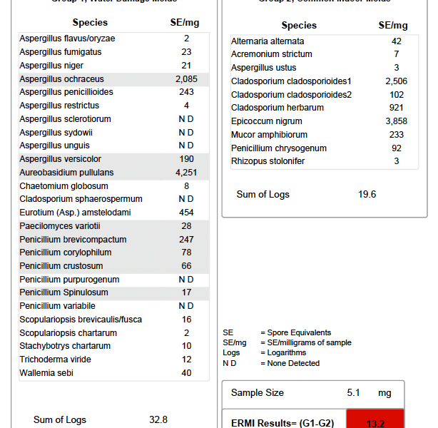 Produit- Test Ermi -moisissures pour la maison ou bureau Envirobiomics